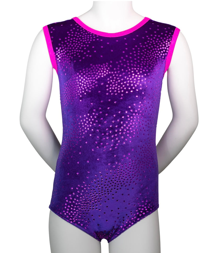 Tappers & Pointers Grape/cerise Astro leotard