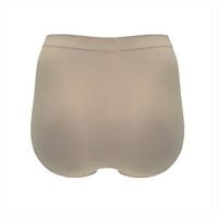 Load image into Gallery viewer, Silky Seamless High Cut Brief